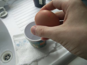 An egg before being cracked open