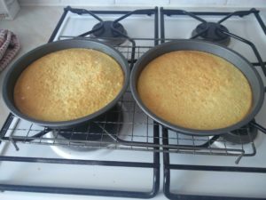 The Cakes Left out to Cool